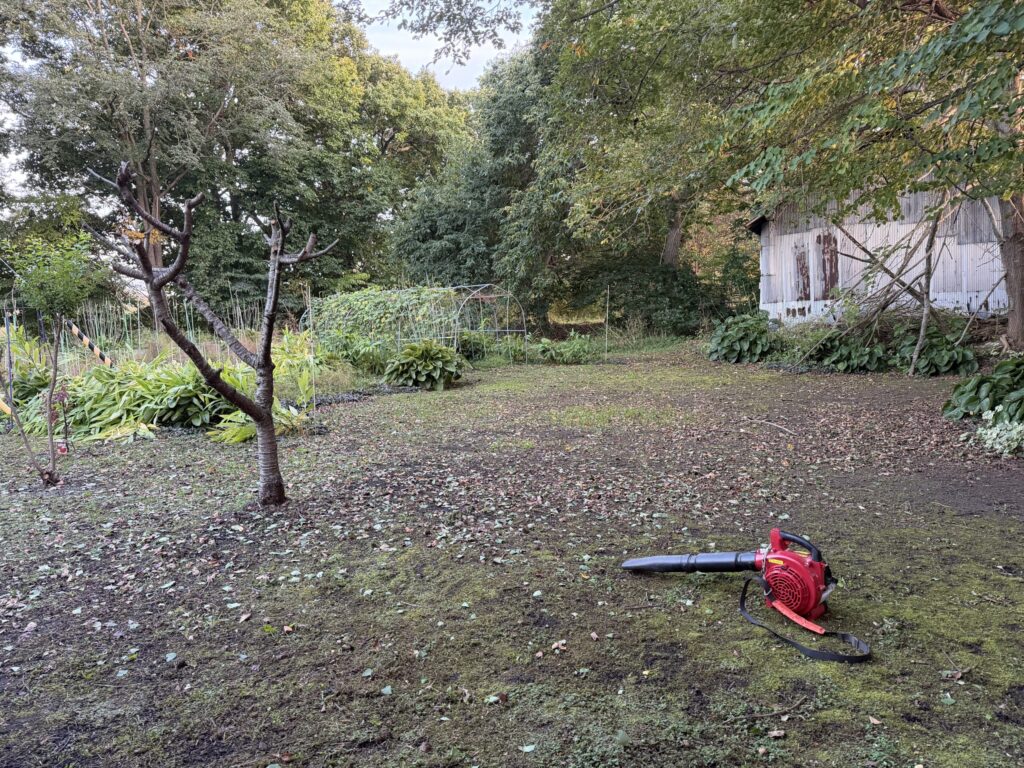 【画像:庭の木の下での作業(IMG_3930)】