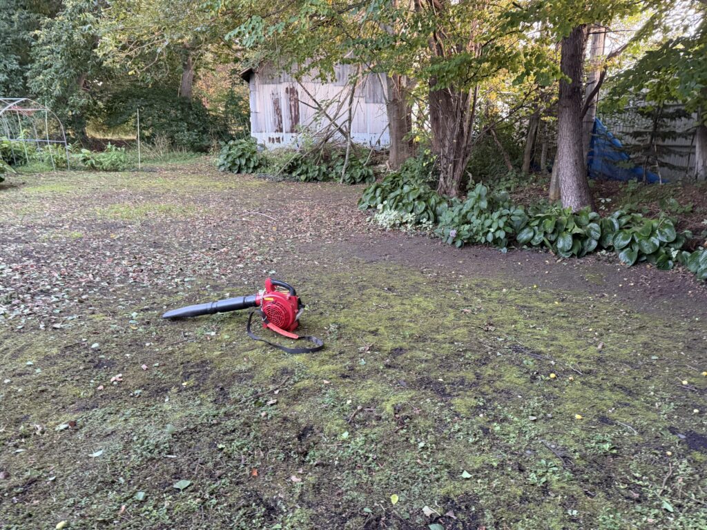 【画像:芝生の上の落ち葉もきれいに(IMG_3931)】