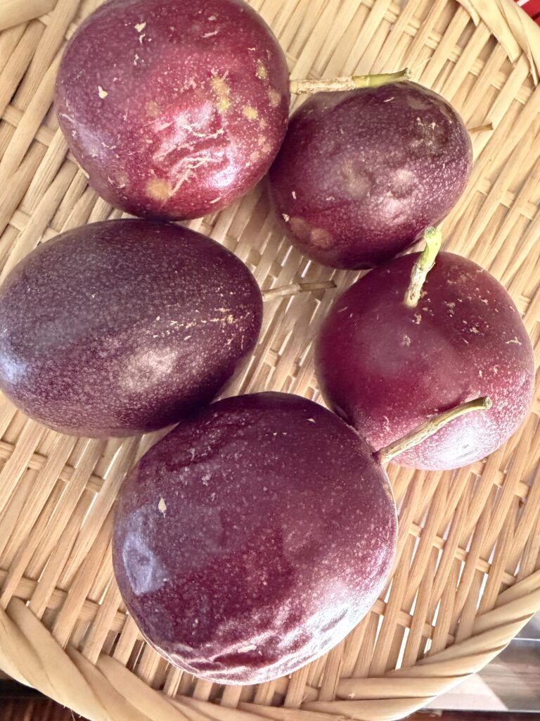 (画像:紫色に熟した実)