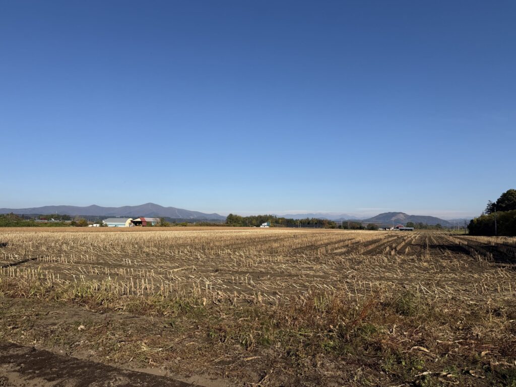 【画像:収穫を終えた隣の畑と、青空、遠くの山並み(IMG_4670.jpeg)】
