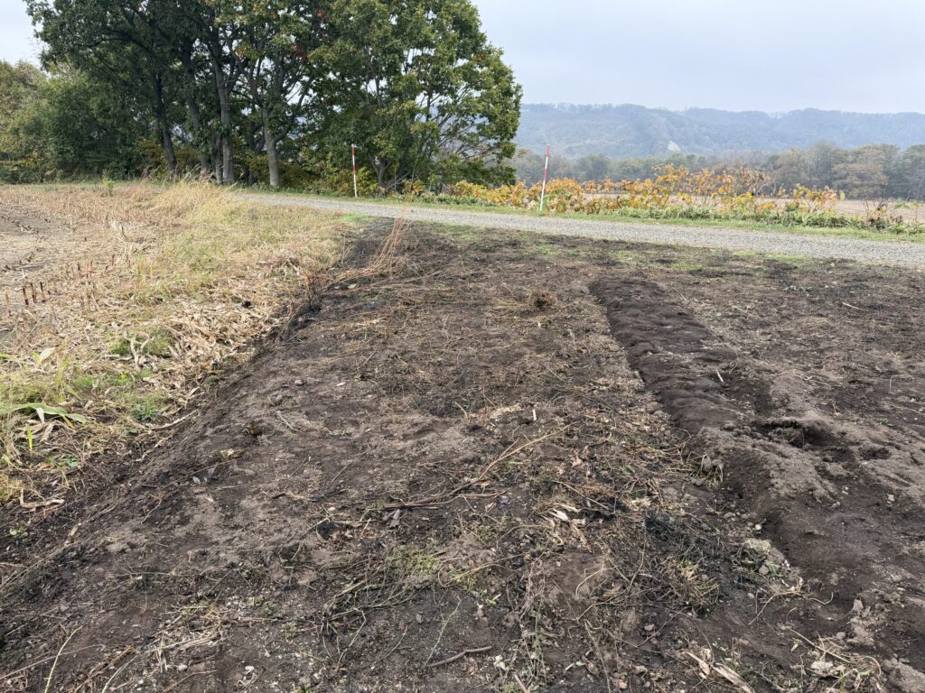 【画像:焼いたあとの畑。すっきりしました(IMG_4788.jpeg)】