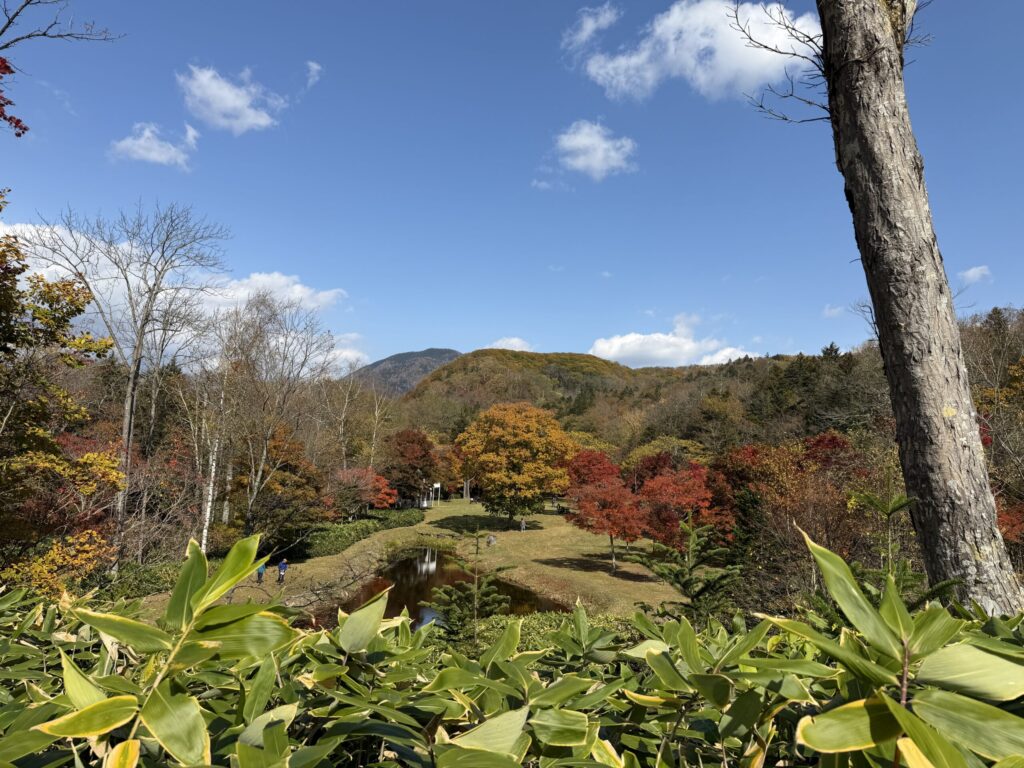 【画像:高台から見下ろす池と紅葉の景色】