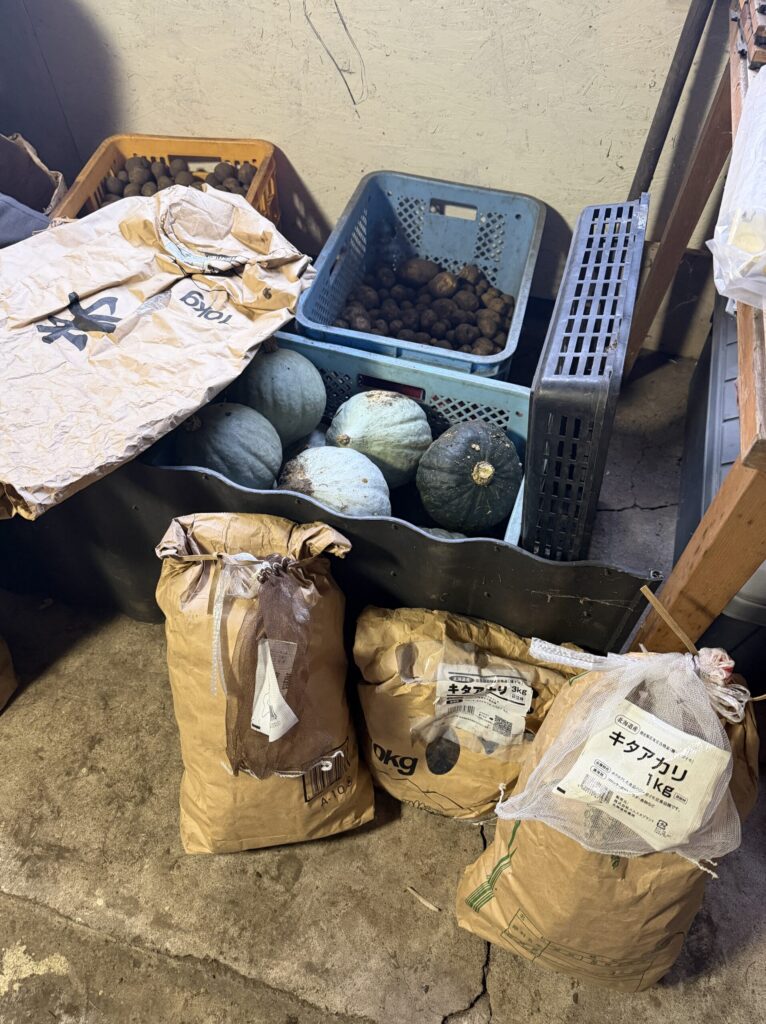 【画像:納屋のじゃがいもとかぼちゃ。紙袋に詰めたキタアカリも(IMG_6575)】