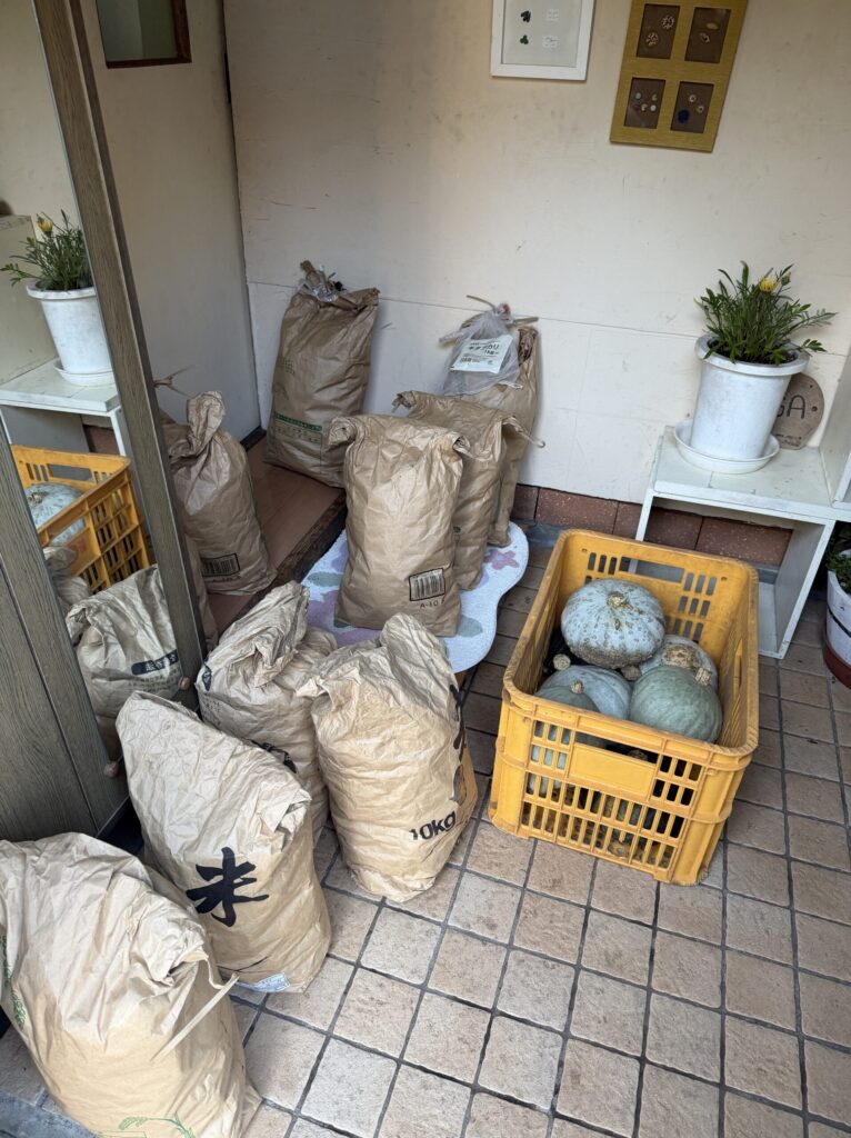 【画像:母屋に運び込んだ紙袋とかぼちゃ(IMG_6576)】