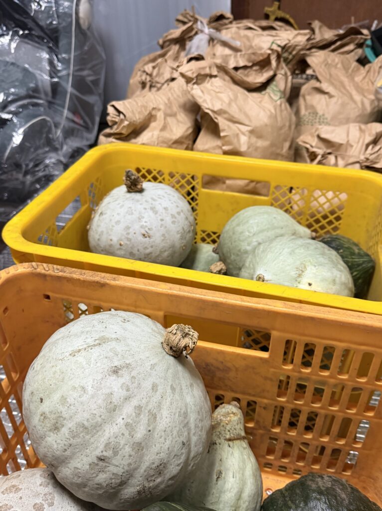 【画像:コンテナのかぼちゃと、奥に積んだ紙袋(IMG_6661)】